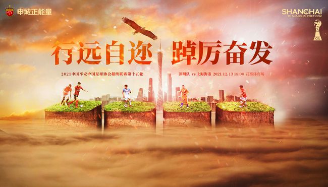国内精品久久久久久影院网站小说