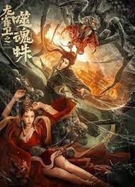 天天精品视频