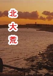 我的母亲朋友