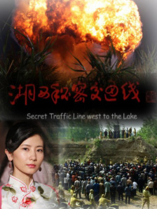 满天星在线观看完整免费高清原声