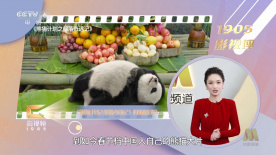 啊啊啊要高潮了